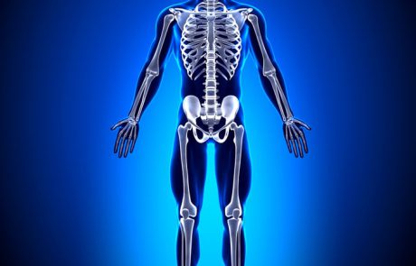 כך נשמור על עצמות חזקות