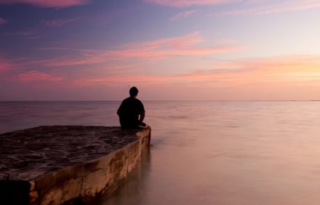 כל המאכלים שנוטעים בנו רוגע ושלווה