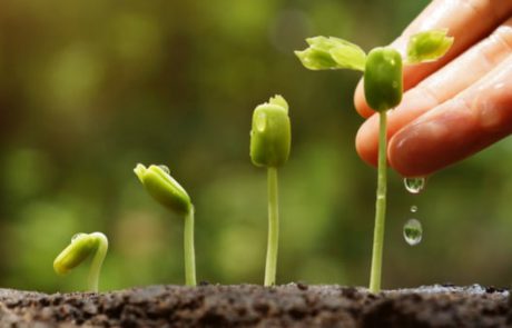 הפרשת הורמון גדילה שיביא לצמיחה מהירה