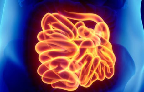 החלבון הזה עשוי לסייע למומחים ללחום בסימפטומים של תופעות מעי דלקתיות