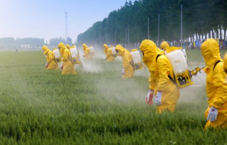 כל מה שאתם צריכים לדעת כדי להתגונן מפני חשיפה לחומרי הדברה