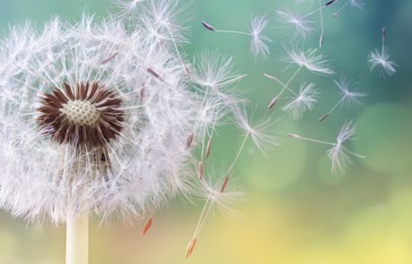 כך נזהה את האלרגיה שלנו בקלות