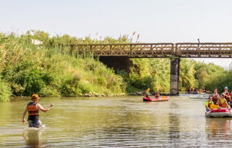 יש סיבה להיכנס לפאניקה? הכל על מחלת העכברת