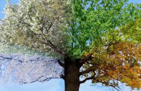 עונות מעבר. כך תעברו אותם בשלום